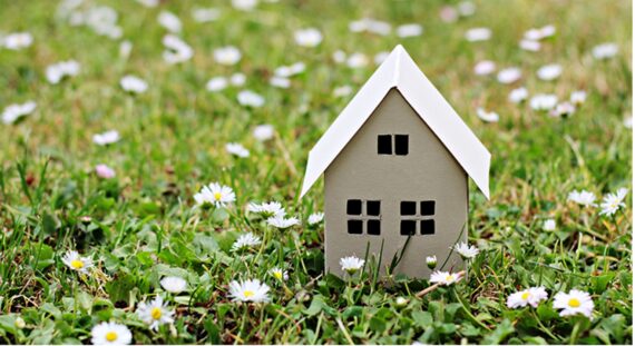 kartonnen huisje in het gras